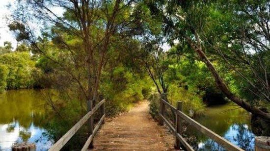 Newport Lakes Reserve