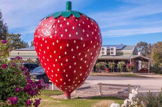 The Big Strawberry