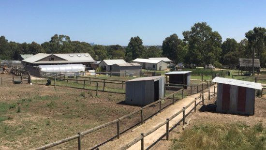 Cooper's Settlement