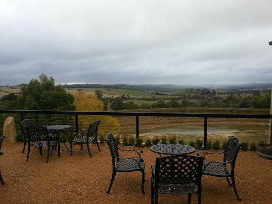 Cloud 9 Farm