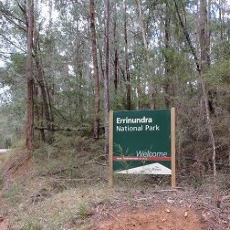 Errinundra National Park