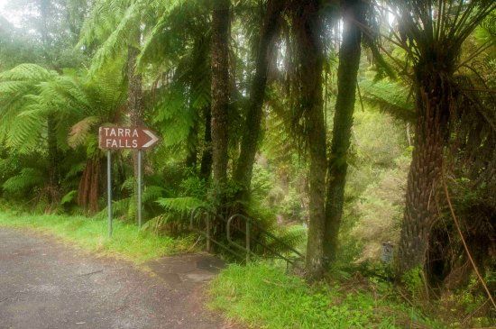 Tarra Falls