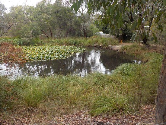 Buckanbe Park
