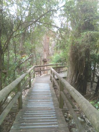 Ballarat Bird World