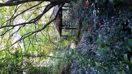 George Tindale Memorial Gardens