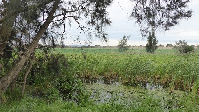 Edithvale Wetlands Discovery Centre