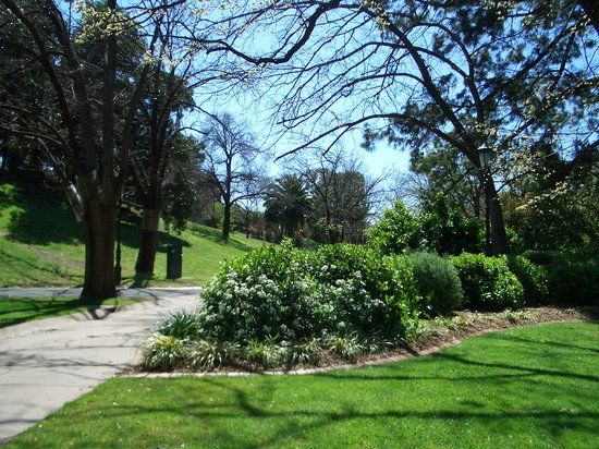 Rosalind Park