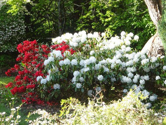 Pirianda Gardens