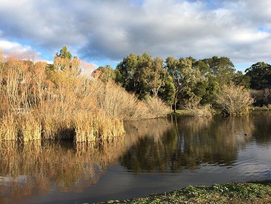Wombat Flat Mineral Spring