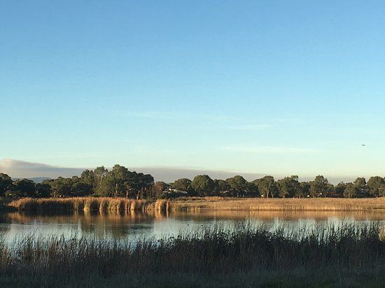 Edithvale Seaford Wetlands