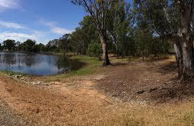 Lake King