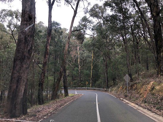 Cardinia Aqueduct Trail