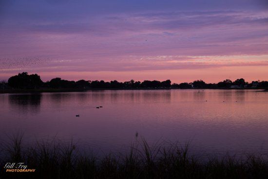 Lake Hamilton