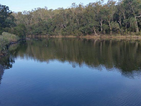 Lake Tyers State Park