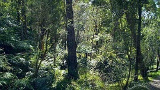 Warranwood Reserve
