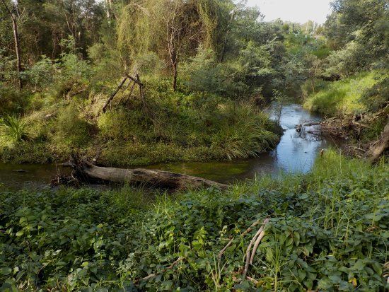 Beaconsfield Flora & Fauna Reserve