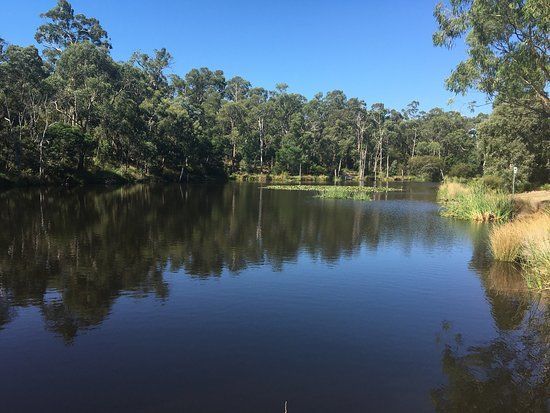Candlebark Walk Reserve