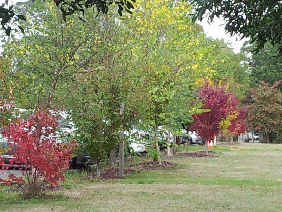 Quarry St Reserve