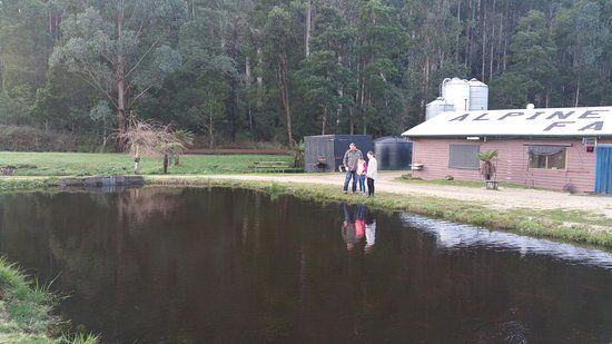 Alpine Trout Farm
