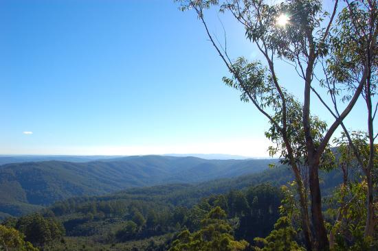 Noojee Picnic Grounds