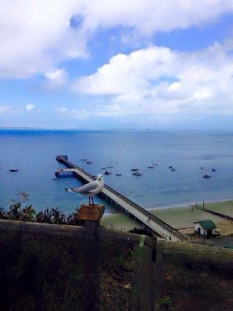Flinders Pier