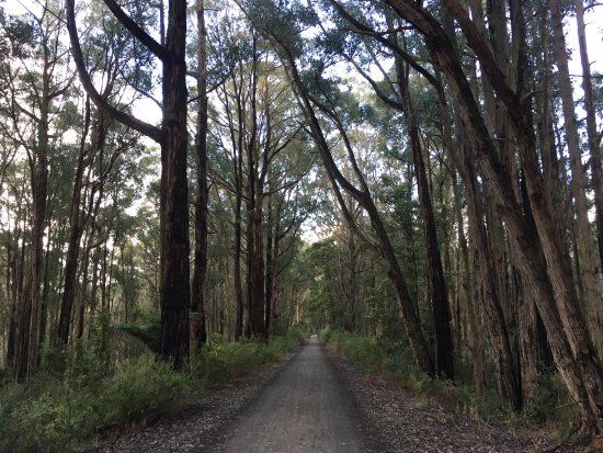 Grand Ridge Rail Trail